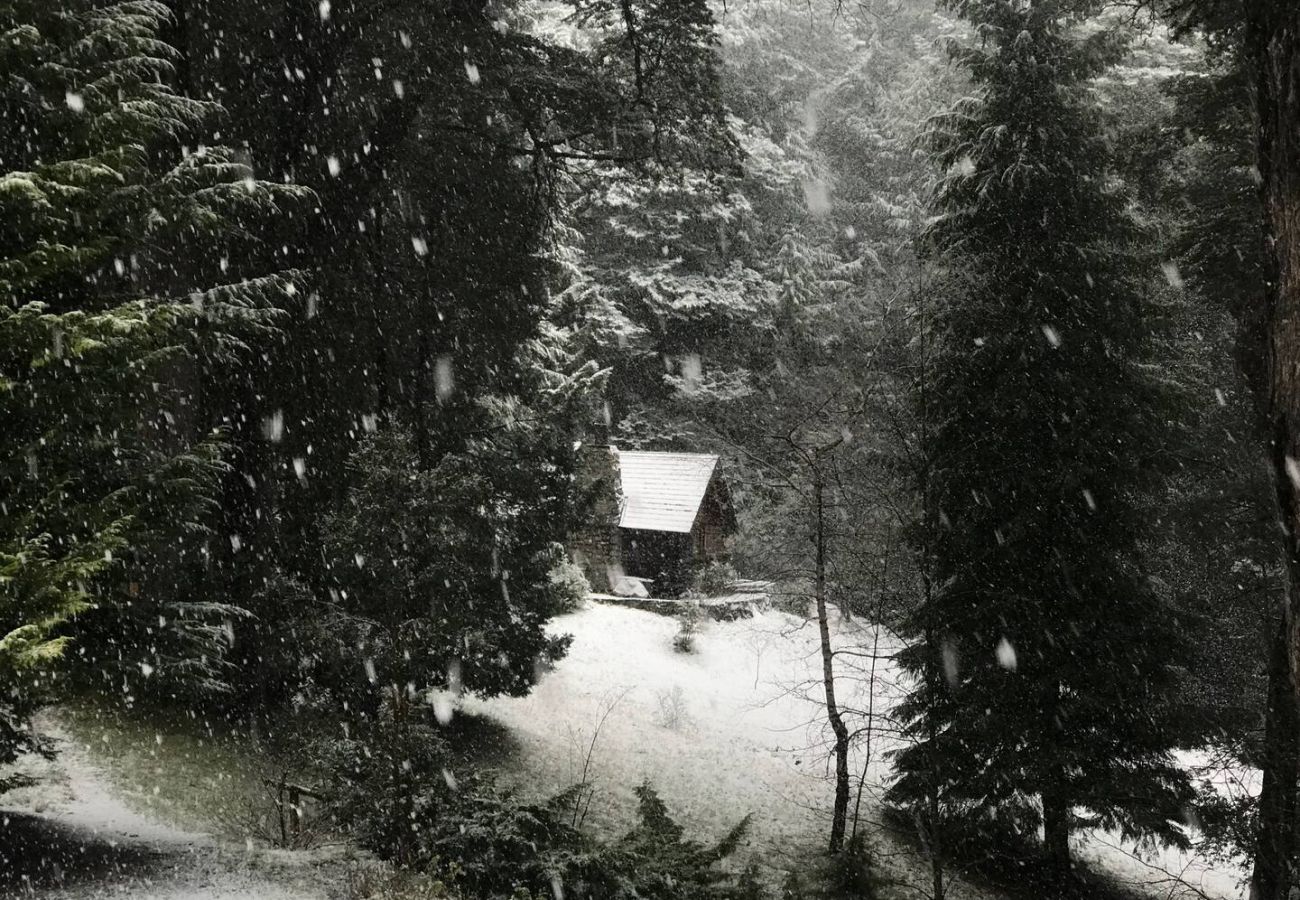 Cabaña en San Carlos de Bariloche - 02/3PAX TREBOL02C