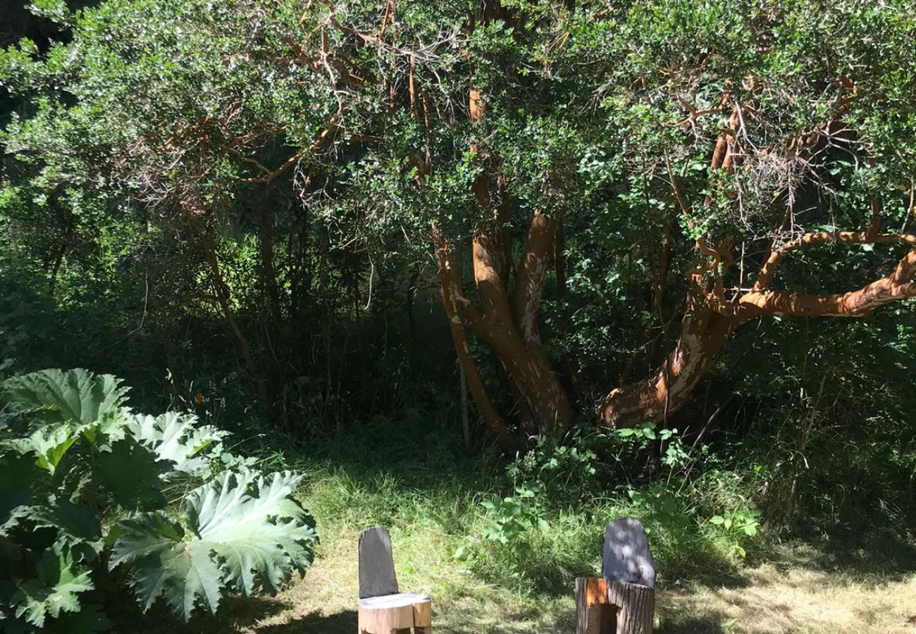 Casa en San Carlos de Bariloche - 10/11PAX TREBOL01C