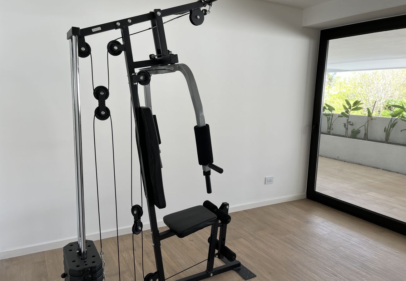 Gimnasio