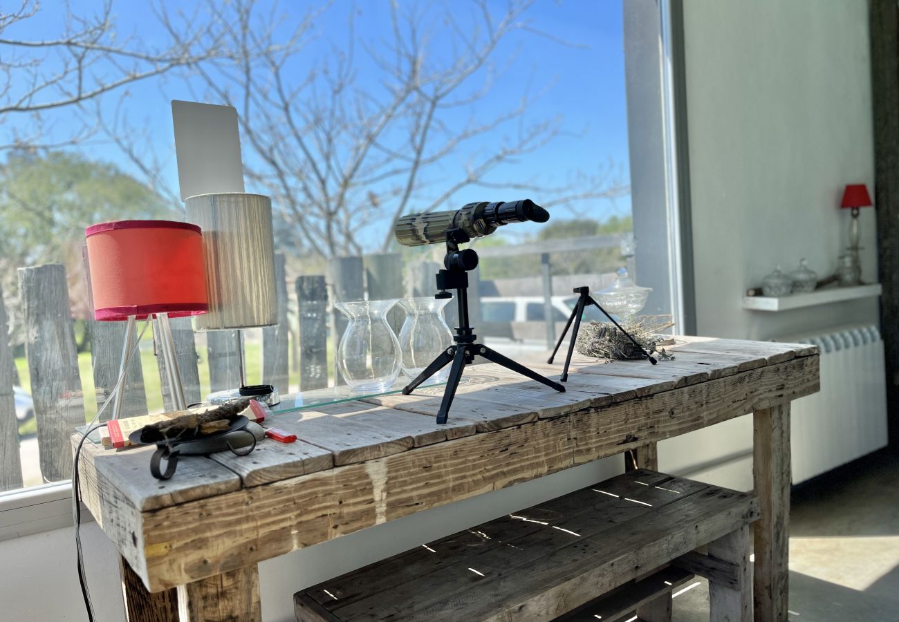 Casa en Mar Del Plata - Estilo Industrial  |  Casa Mariela  |  Hola Sur
