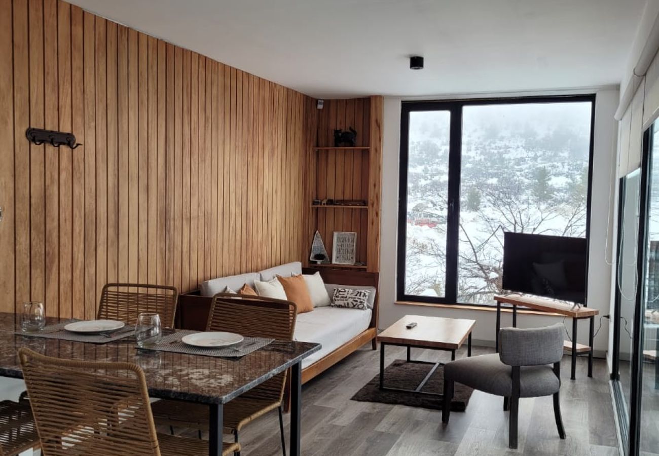 Apartamento en San Carlos de Bariloche - 02/4PAX CATE16 AUCHA BALCON CH