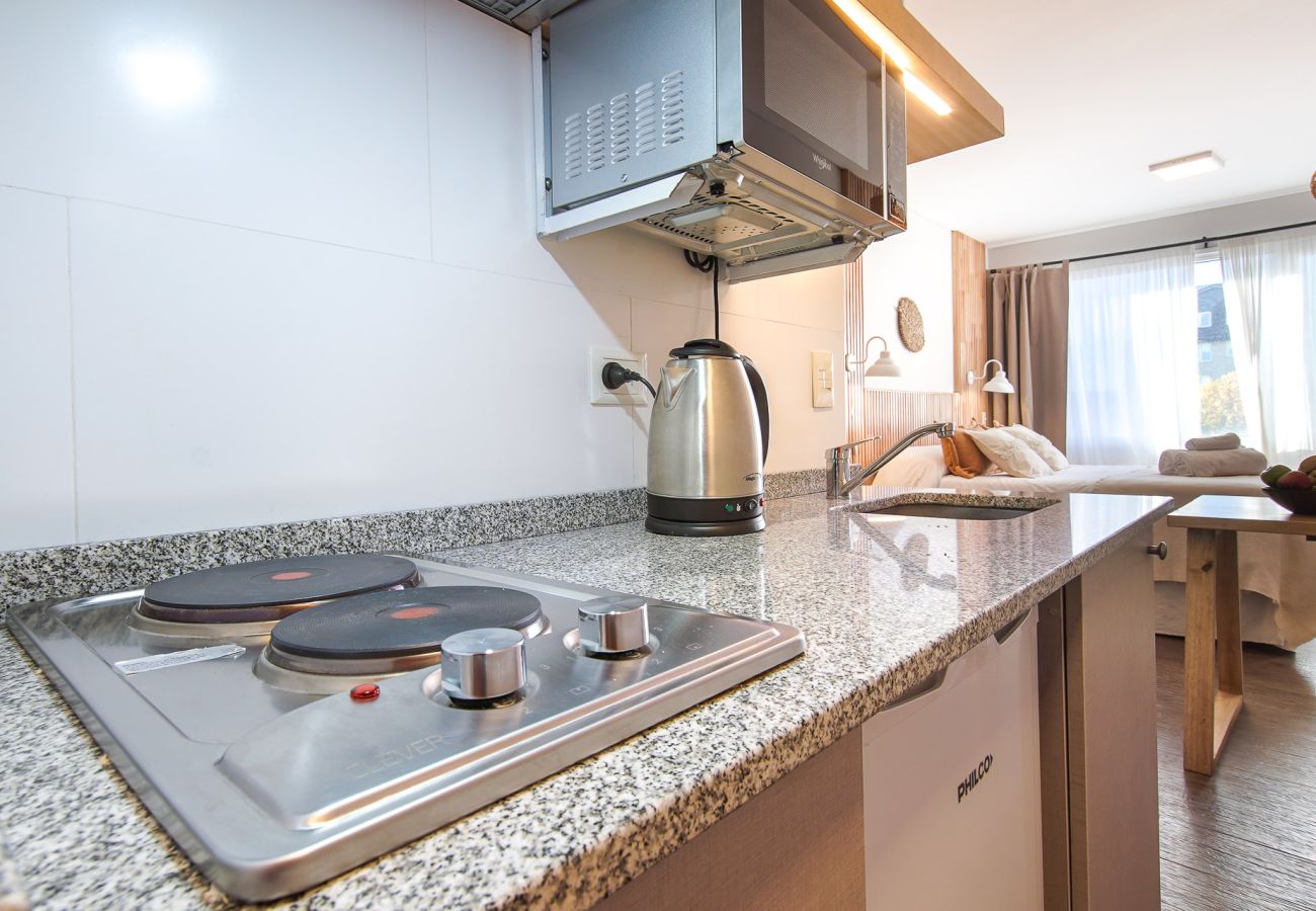 Estudio en San Carlos de Bariloche - Abedul in the heart of Bariloche