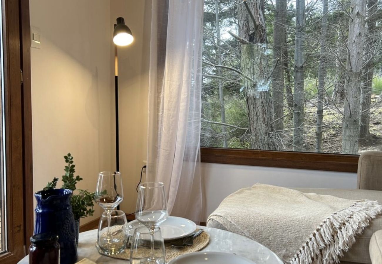 Estudio en San Carlos de Bariloche - 2PAX PENI21C INE PAZ