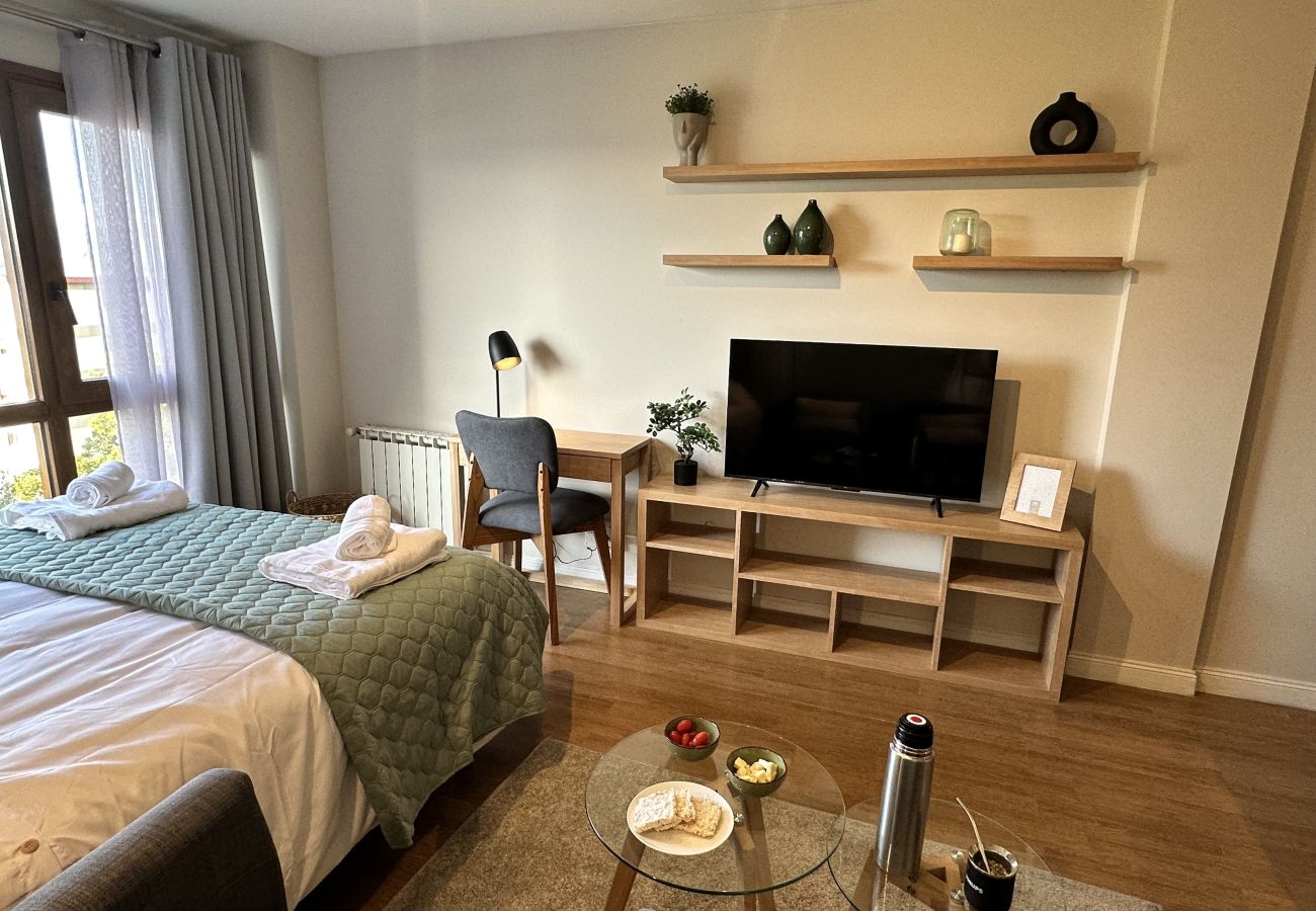 Estudio en San Carlos de Bariloche - Grinly with lake view & parking