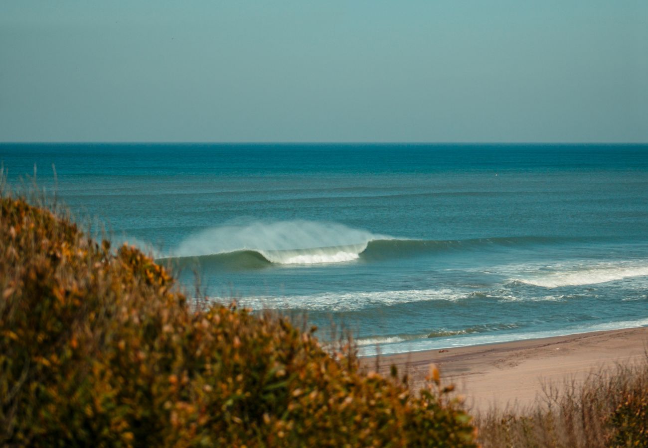 Casa em Chapadmalal - IZ Chapa | Casa 3 | Hola Sur