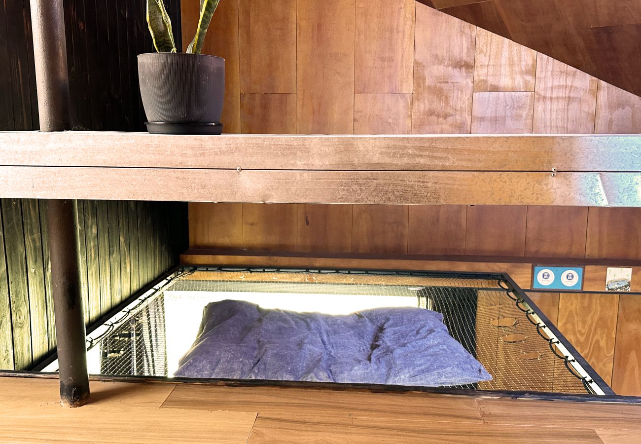 Casa em Chapadmalal - Horizonte & Mar | Casa Negrao | Hola Sur