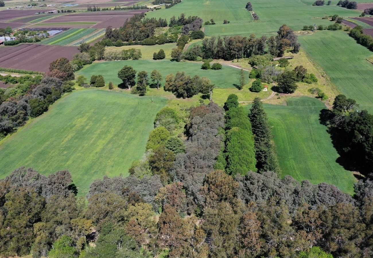 Fazenda em Mar Del Plata - Campo 75 Hectáreas Ruta 88 Camino a las canteras a