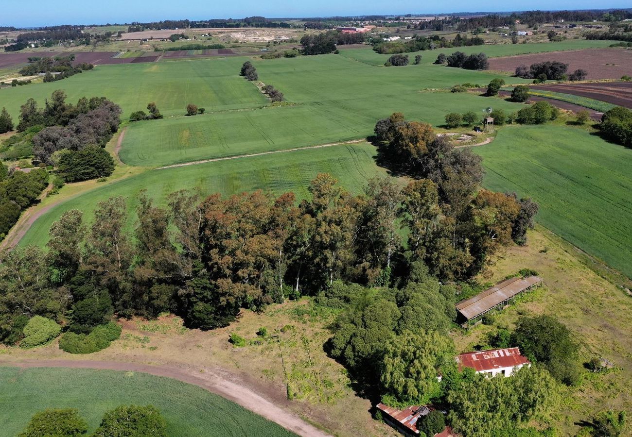 Fazenda em Mar Del Plata - Campo 75 Hectáreas Ruta 88 Camino a las canteras a