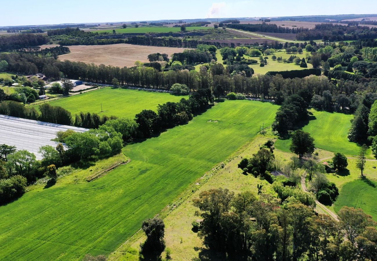 Country house in Mar Del Plata - Campo 75 Hectáreas Ruta 88 Camino a las canteras a
