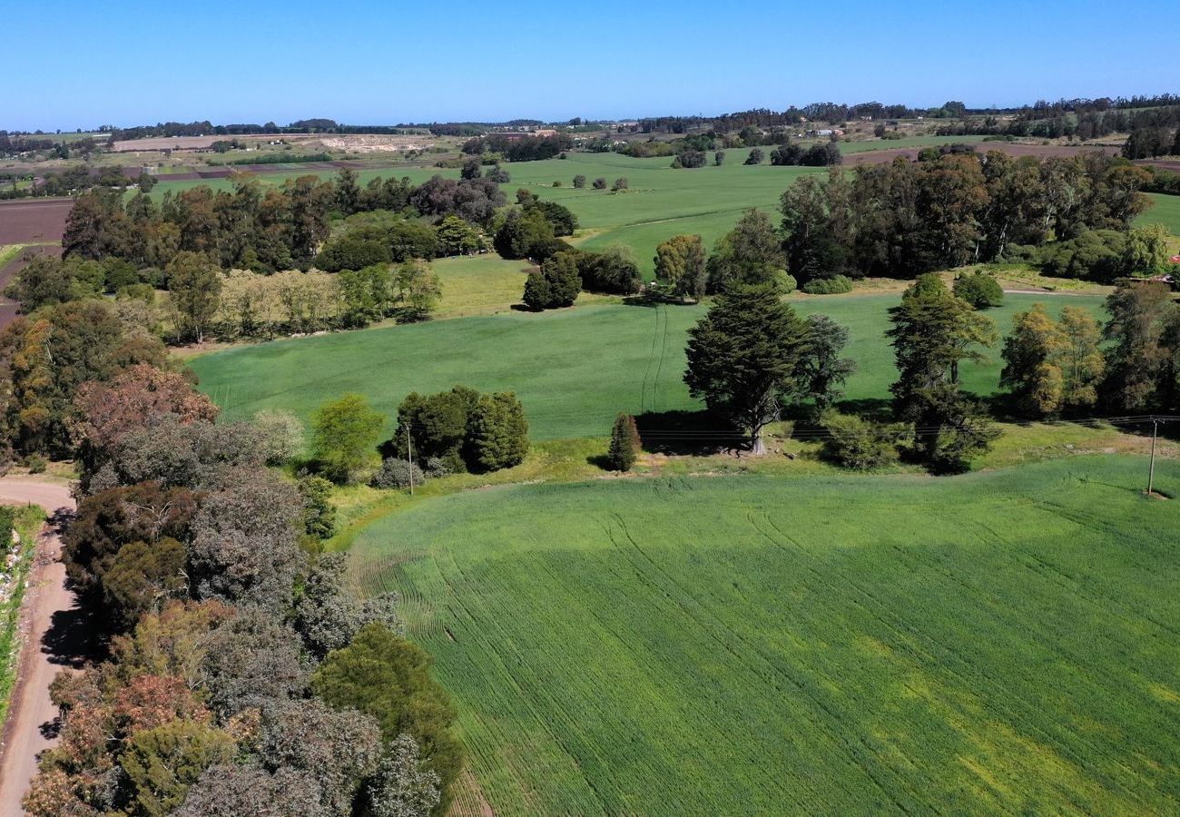 Country house in Mar Del Plata - Campo 75 Hectáreas Ruta 88 Camino a las canteras a