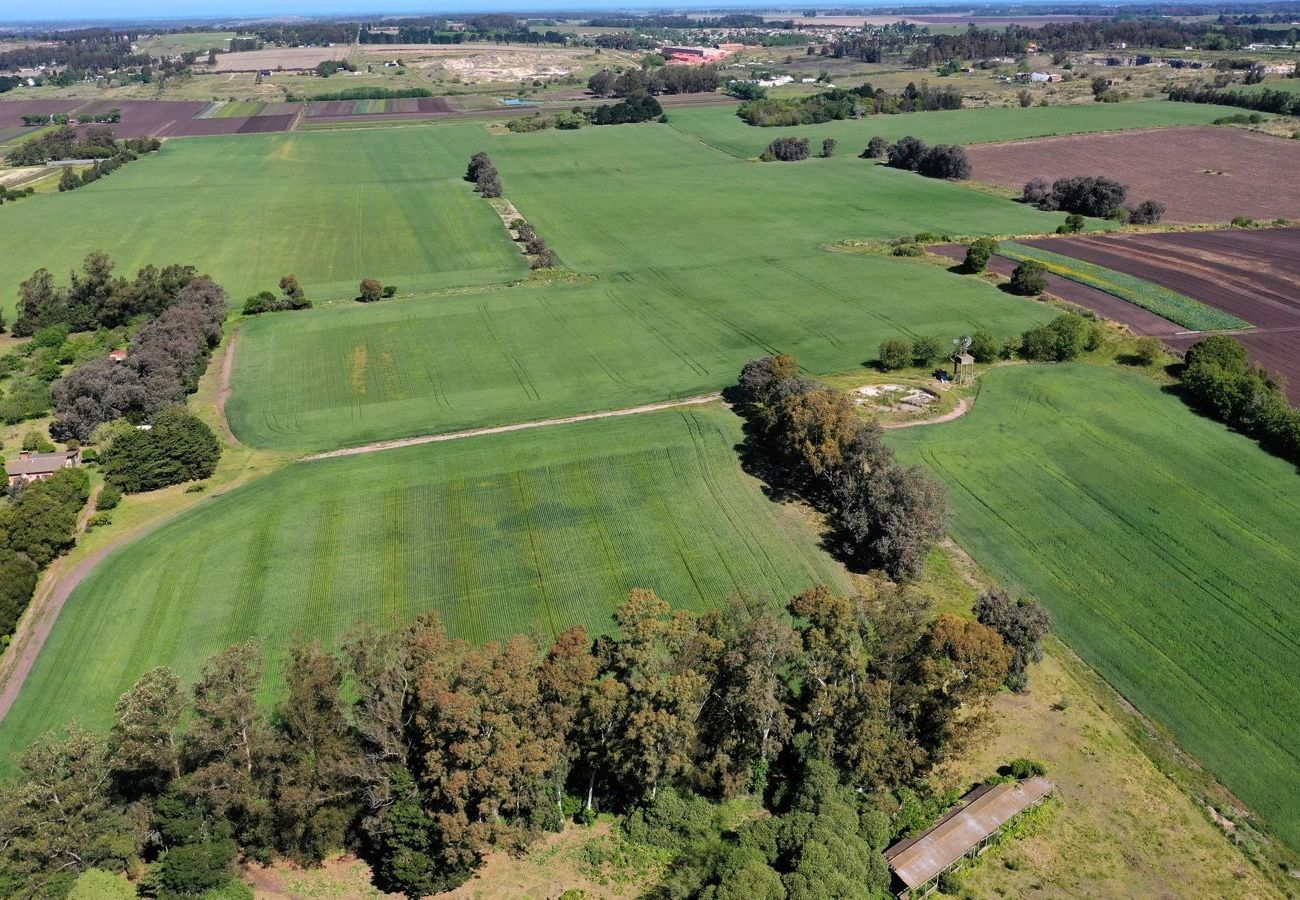 Country house in Mar Del Plata - Campo 75 Hectáreas Ruta 88 Camino a las canteras a