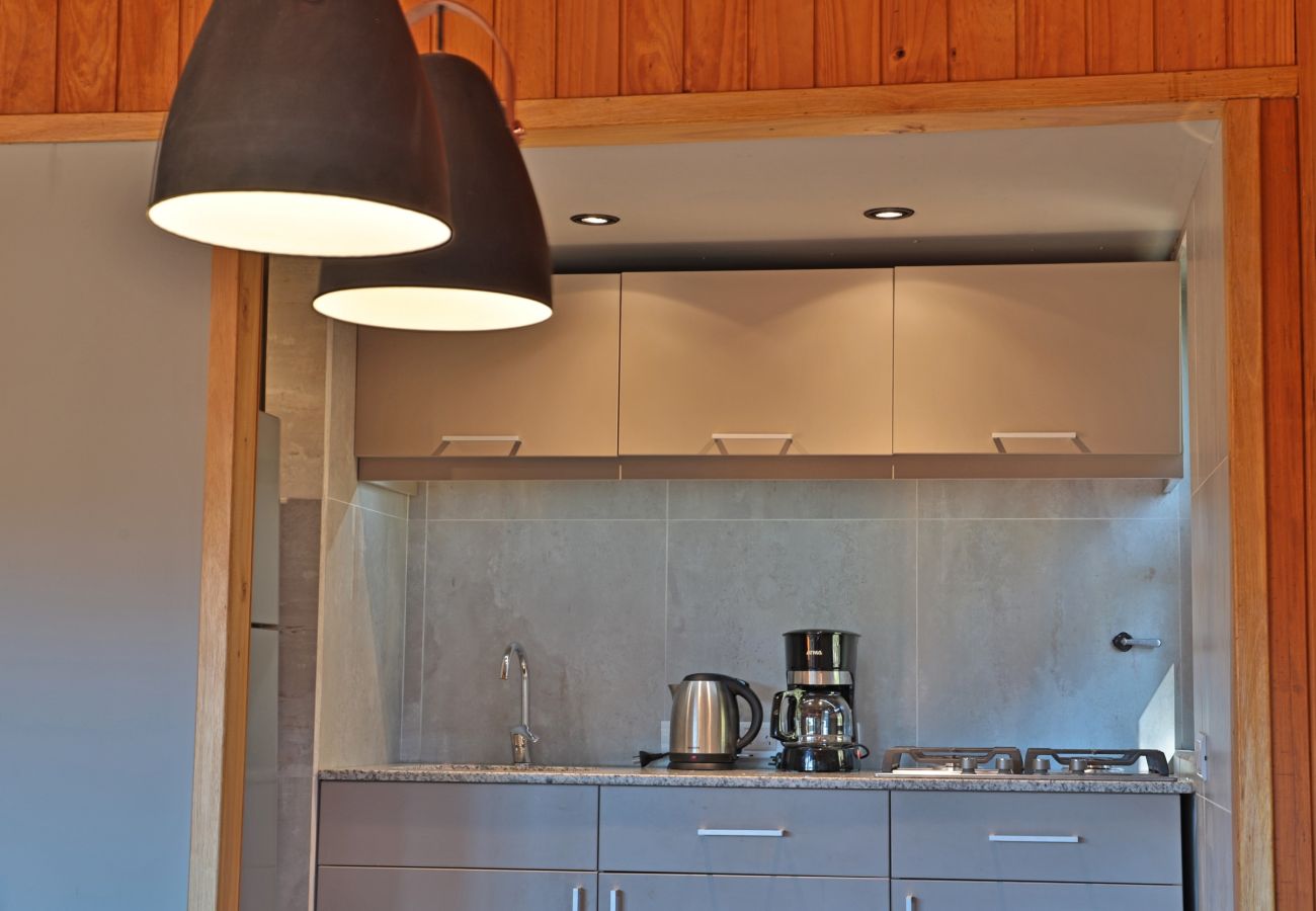 Cabin in San Carlos de Bariloche - 04/6PAX HUAPI11C CAB.MILI