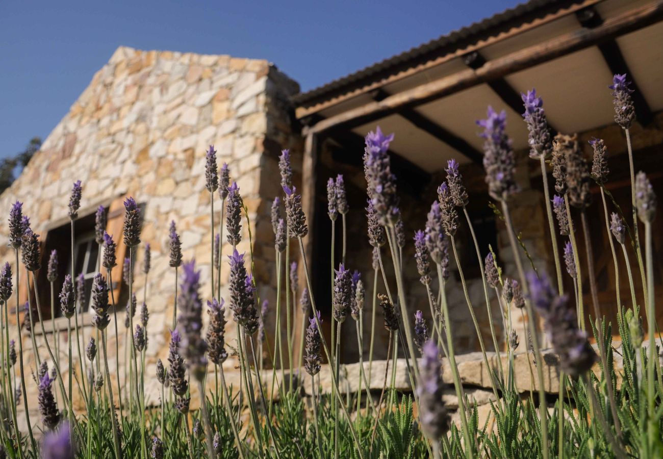 House in Chapadmalal - Casa OMA | Casa Dani | Hola Sur