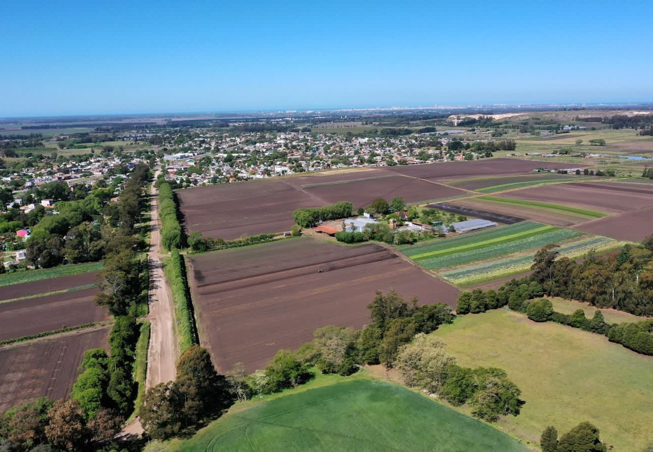Finca en Mar Del Plata - Campo 75 Hectáreas Ruta 88 Camino a las canteras a