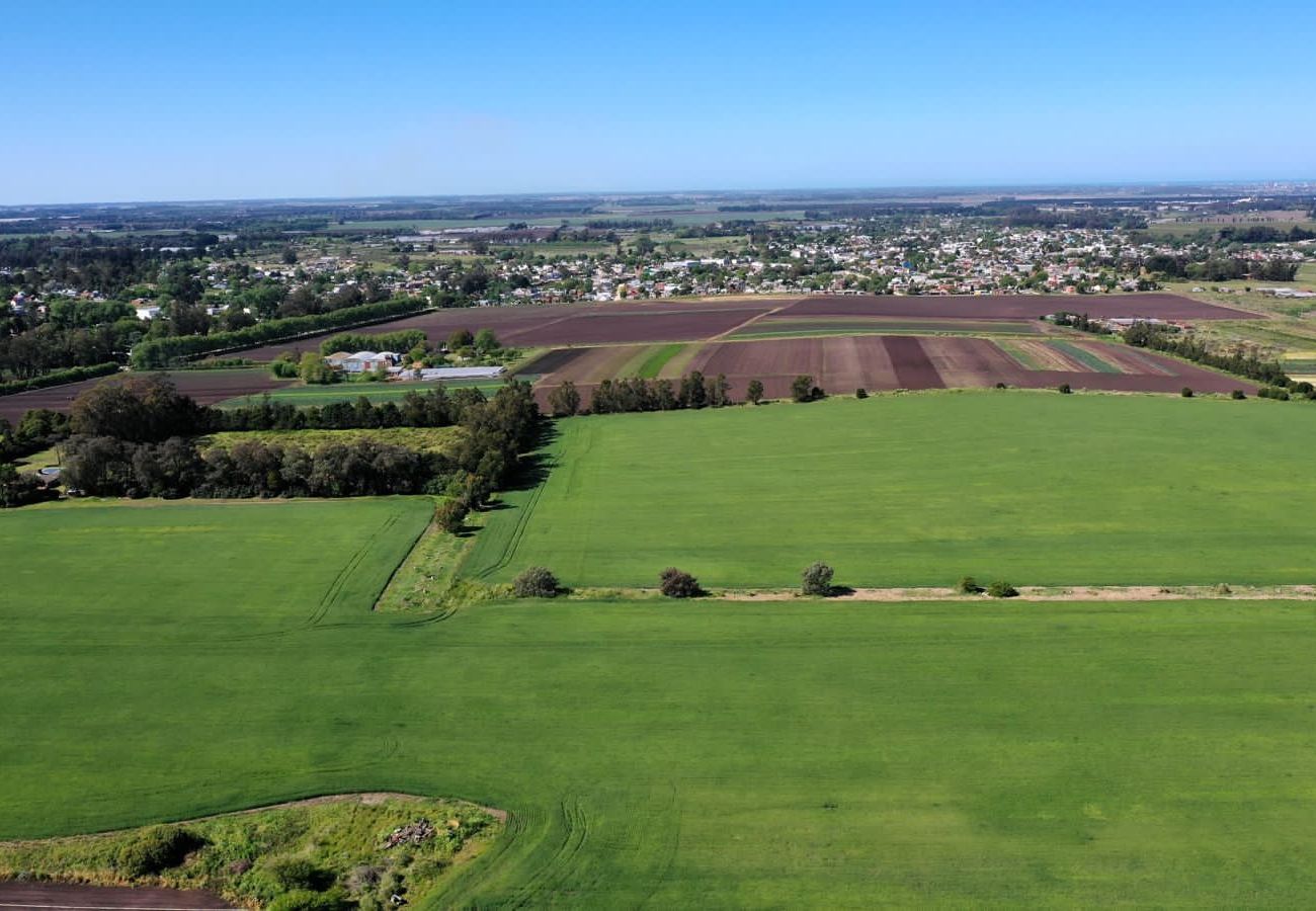 Finca en Mar Del Plata - Campo 75 Hectáreas Ruta 88 Camino a las canteras a