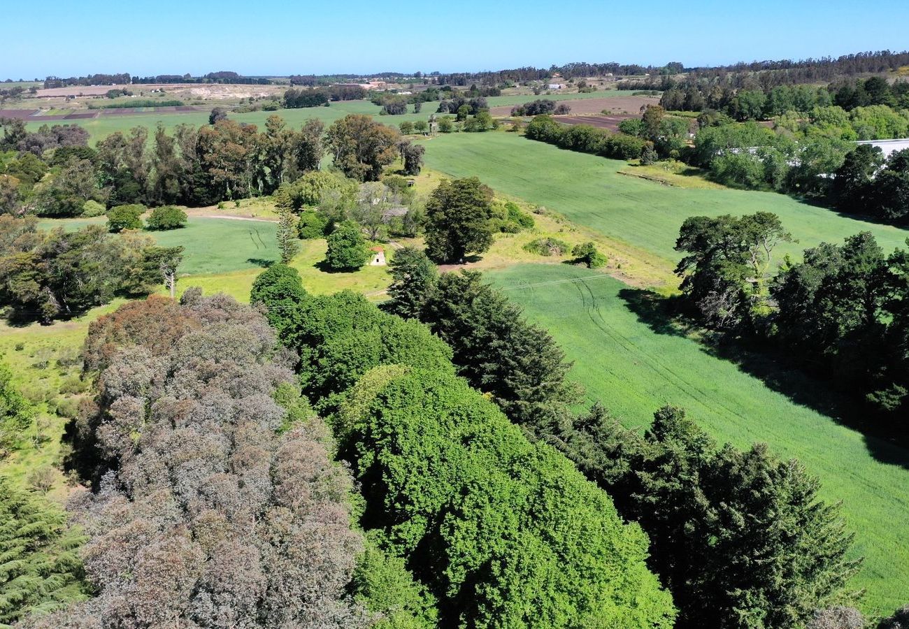 Finca en Mar Del Plata - Campo 75 Hectáreas Ruta 88 Camino a las canteras a