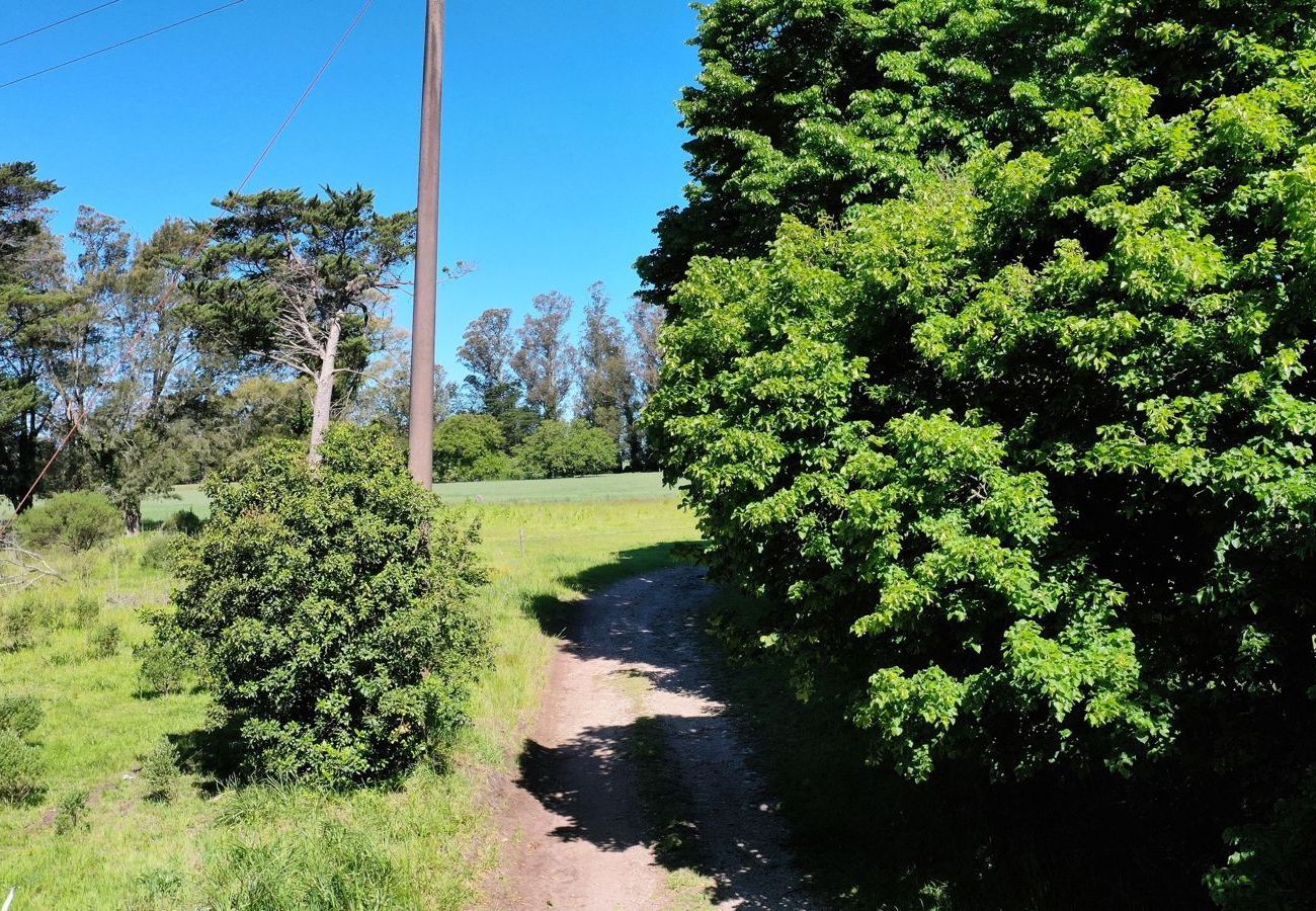 Finca en Mar Del Plata - Campo 75 Hectáreas Ruta 88 Camino a las canteras a