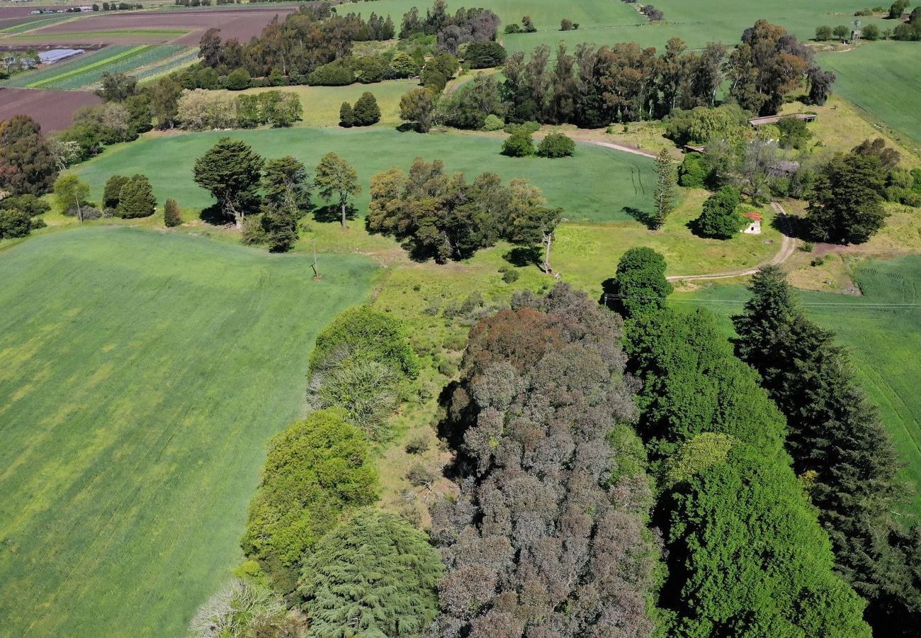Finca en Mar Del Plata - Campo 75 Hectáreas Ruta 88 Camino a las canteras a